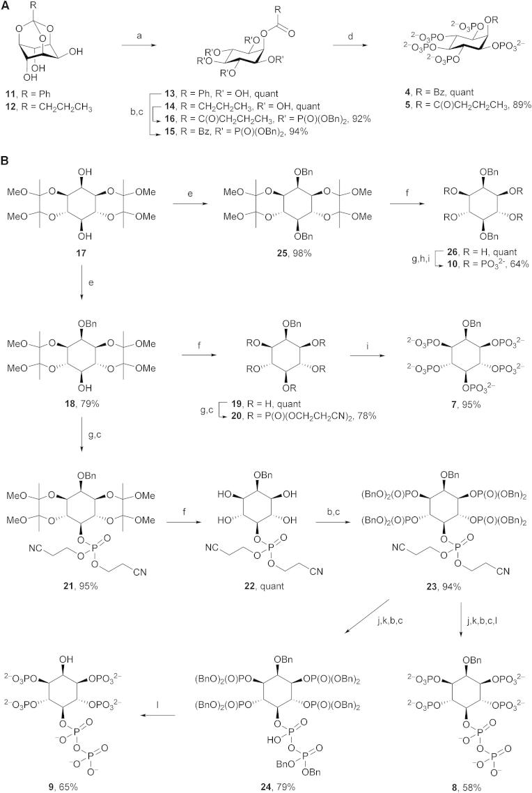 Figure 3