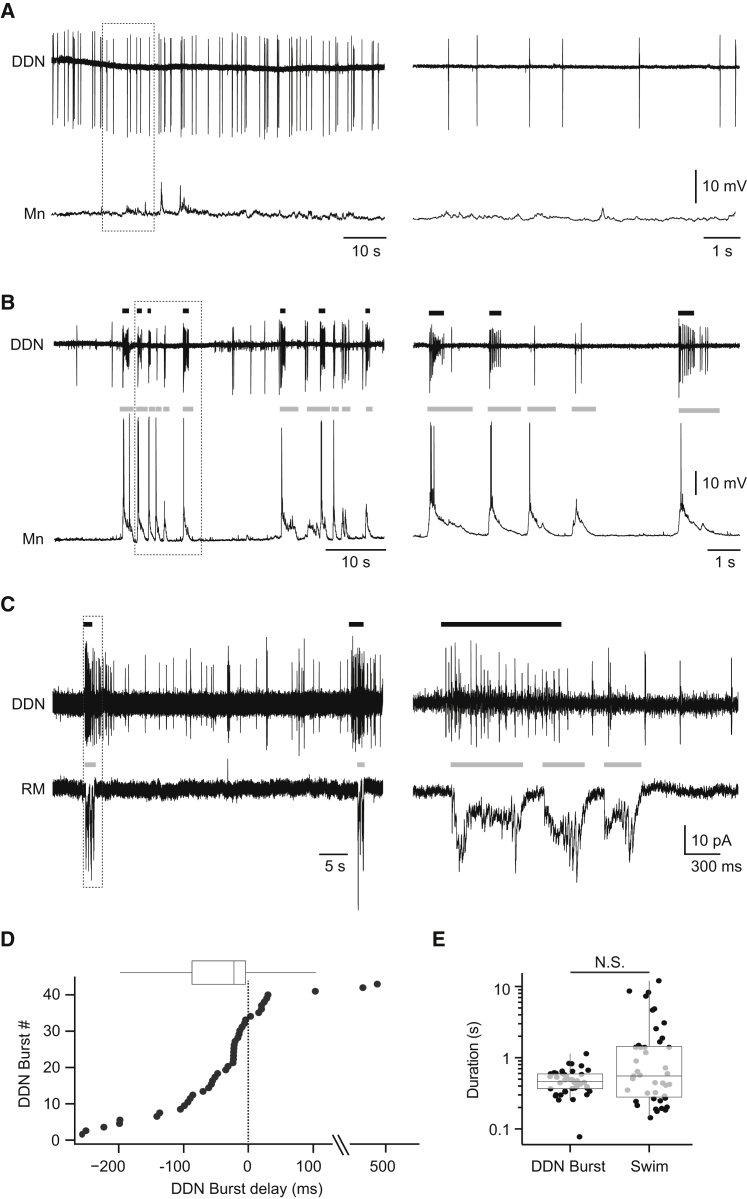 Figure 5