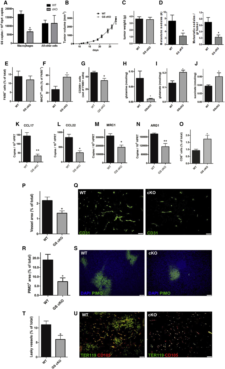 Figure 7