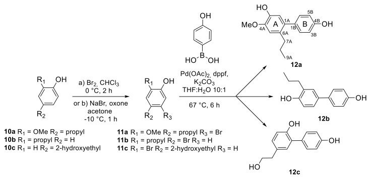 Scheme 2