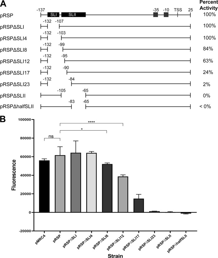 FIG 6