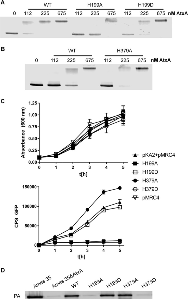 FIG 4