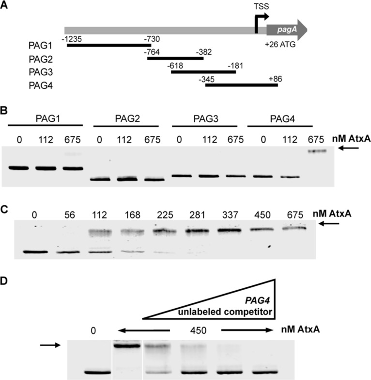 FIG 2