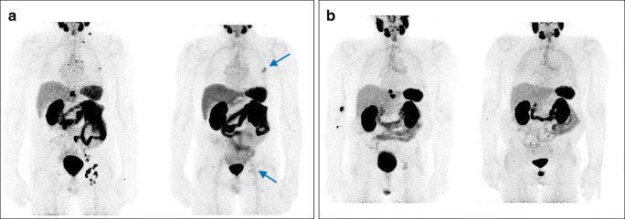 Fig. 5