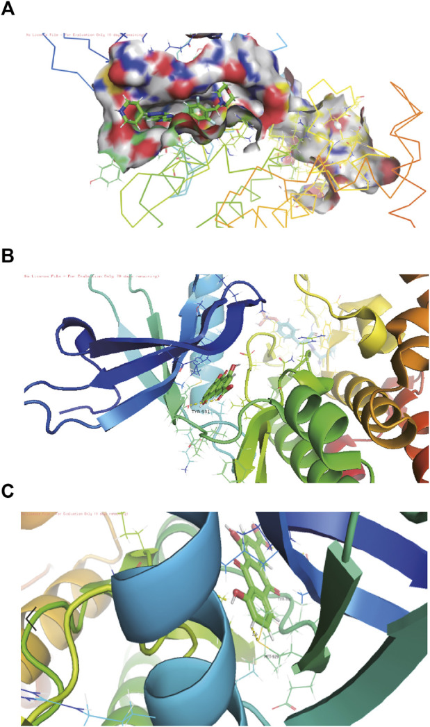 FIGURE 2