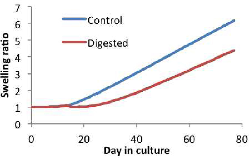 Figure 4.7