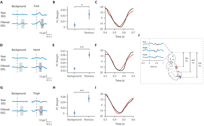 Figure 5—figure supplement 1.