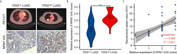 Figure 9