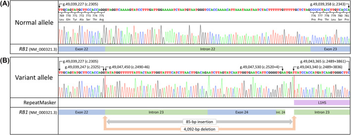 FIGURE 2