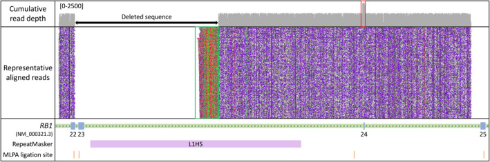 FIGURE 1