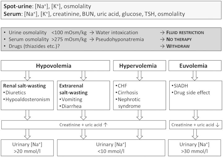 Figure 3: