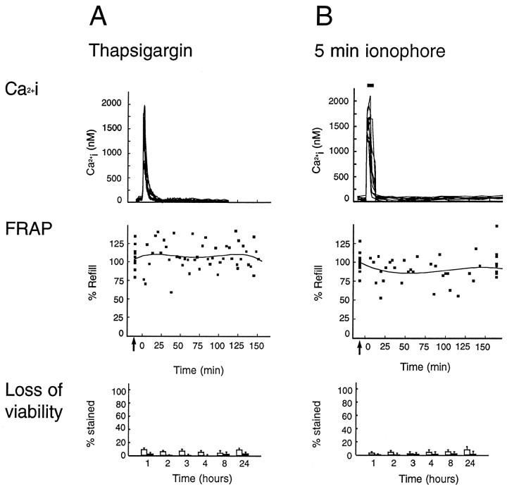 Fig. 11.