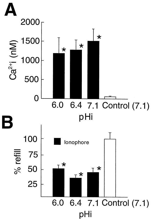 Fig. 10.