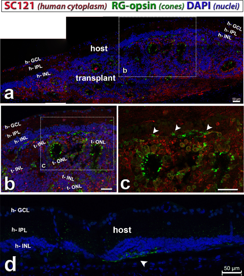 Figure 6.