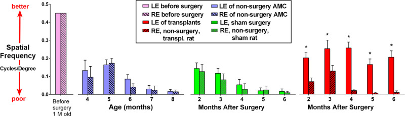 Figure 11.