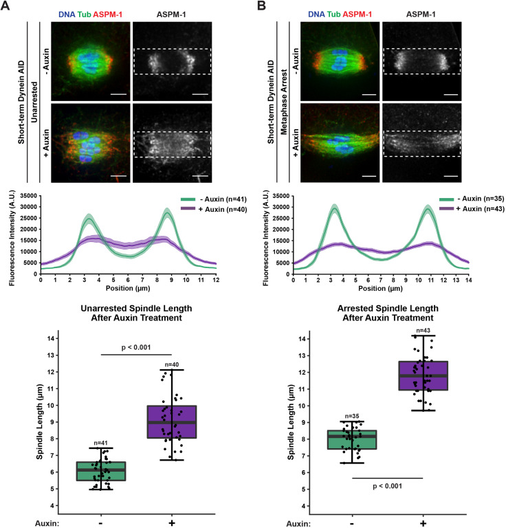 Figure 2—figure supplement 1.