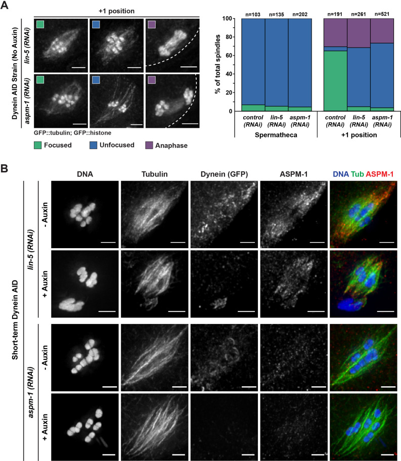 Figure 1—figure supplement 2.