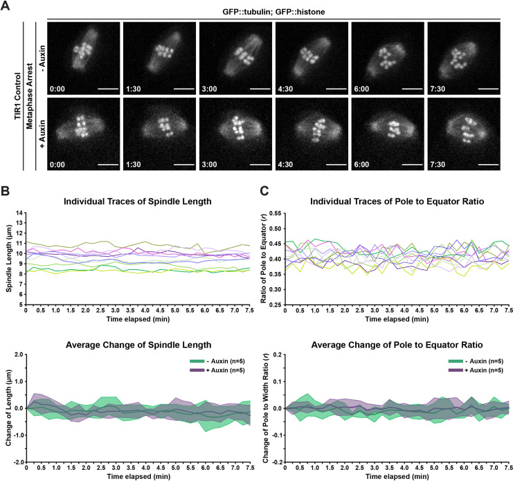 Figure 2—figure supplement 2.