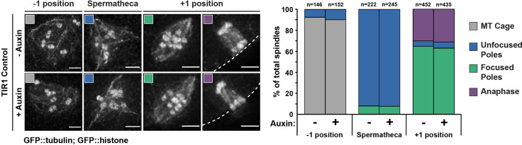 Figure 1—figure supplement 1.