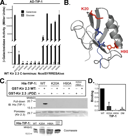 Figure 4.