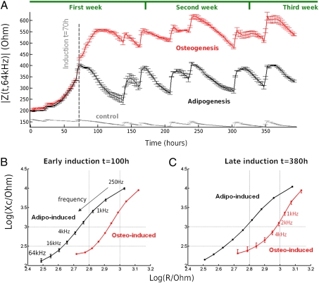 Fig. 4.