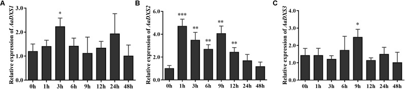 FIGURE 6