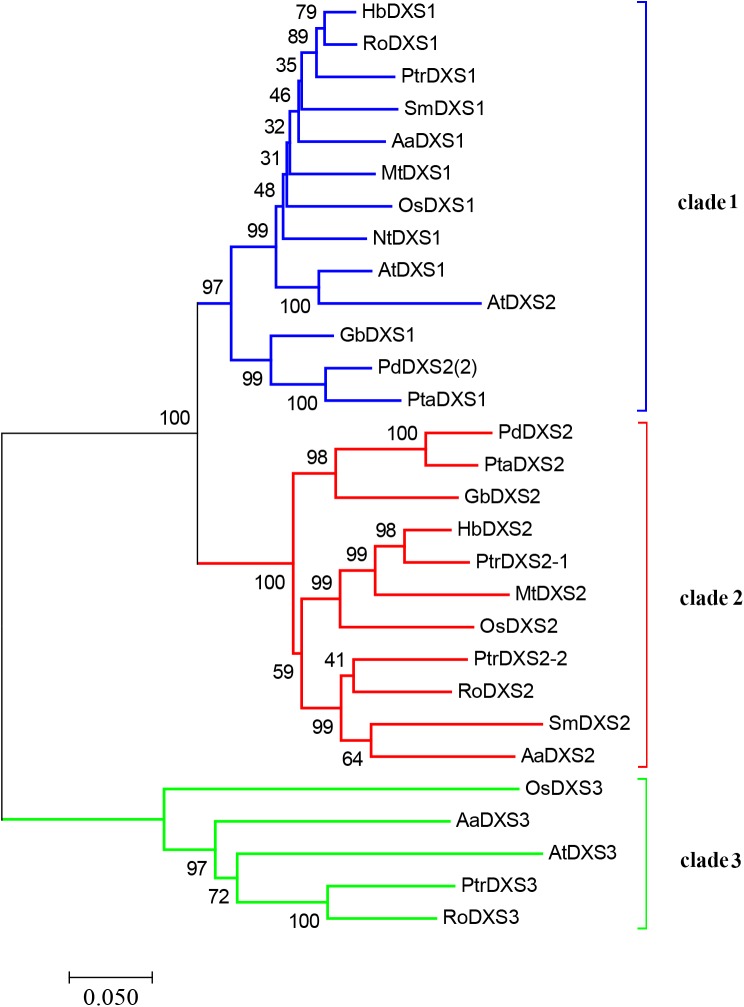 FIGURE 2