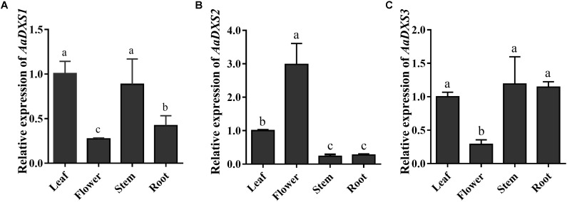 FIGURE 4