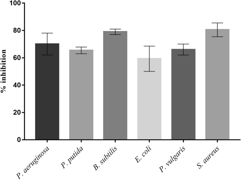 Fig. 10