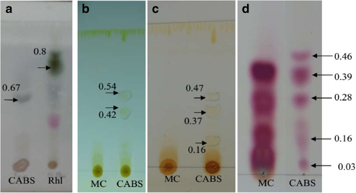 Fig. 6