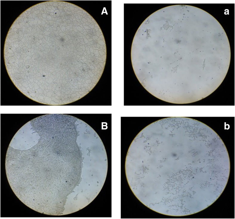 Fig. 11