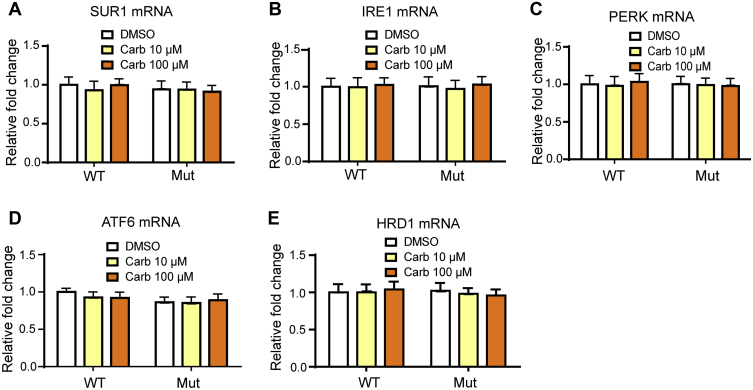 Figure 6