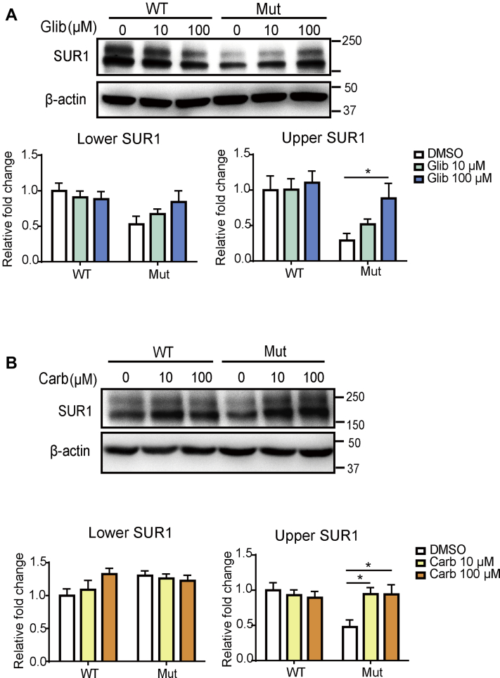 Figure 1