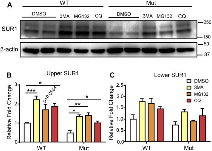 Figure 7