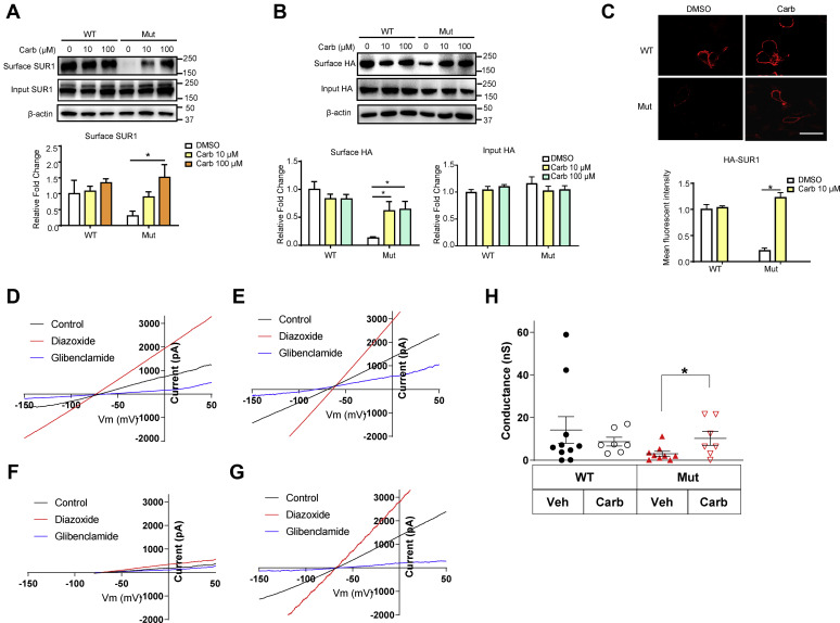 Figure 2