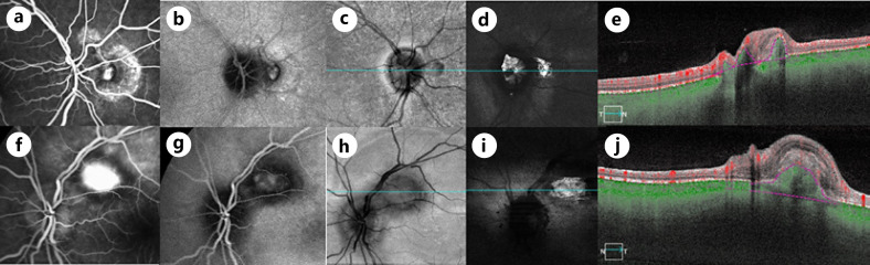 Fig. 3