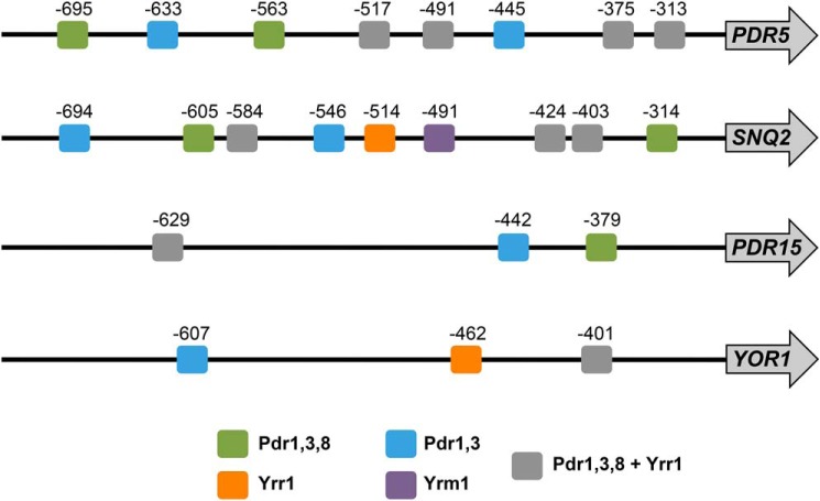 Figure 3.