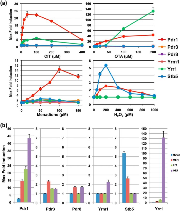 Figure 5.