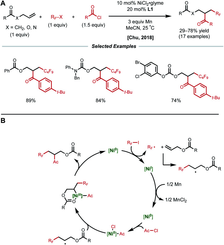 Fig. 13