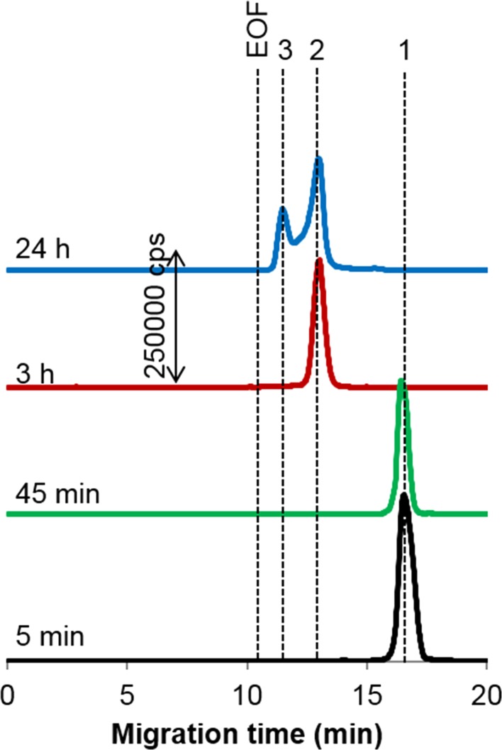 Fig. 5