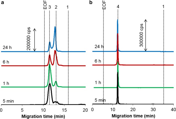 Fig. 3