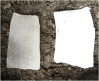 Fig. 11