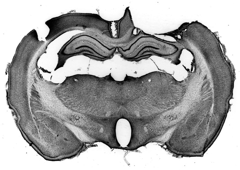 Fig. 6.