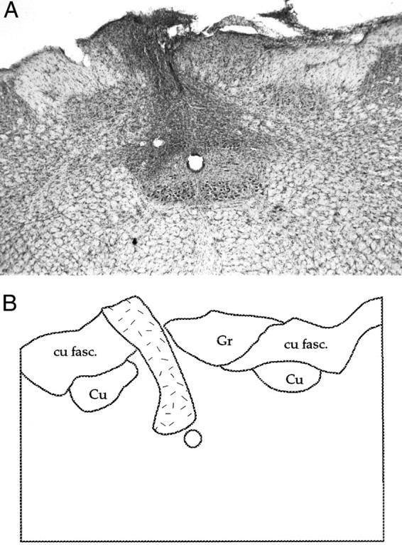 Fig. 8.