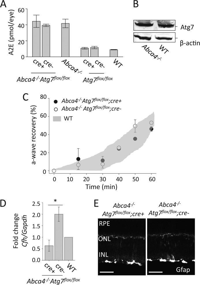 FIGURE 7.