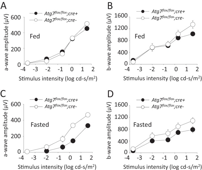 FIGURE 4.