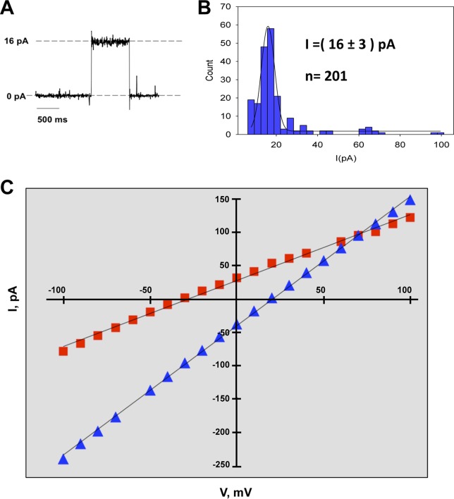 FIG 3 