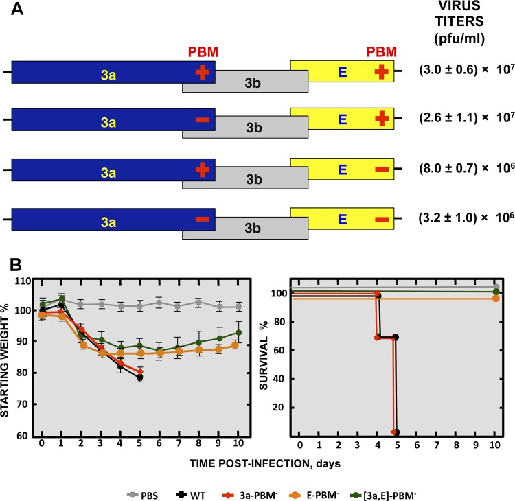 FIG 11 