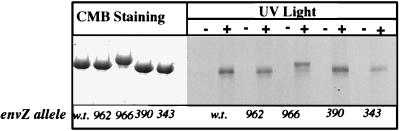 FIG. 6