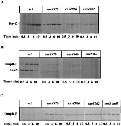 FIG. 5